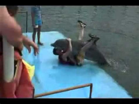 Hapless tourist gets humped by frisky dolphin